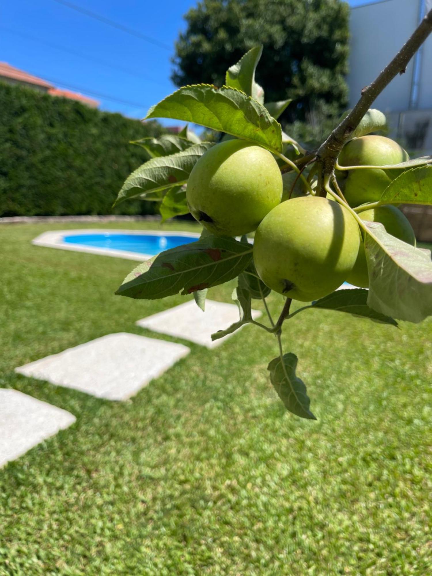Casa Do Albano Villa Виана до Кастело Екстериор снимка
