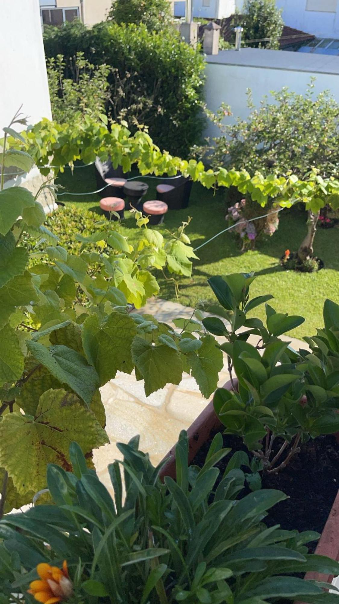 Casa Do Albano Villa Виана до Кастело Екстериор снимка